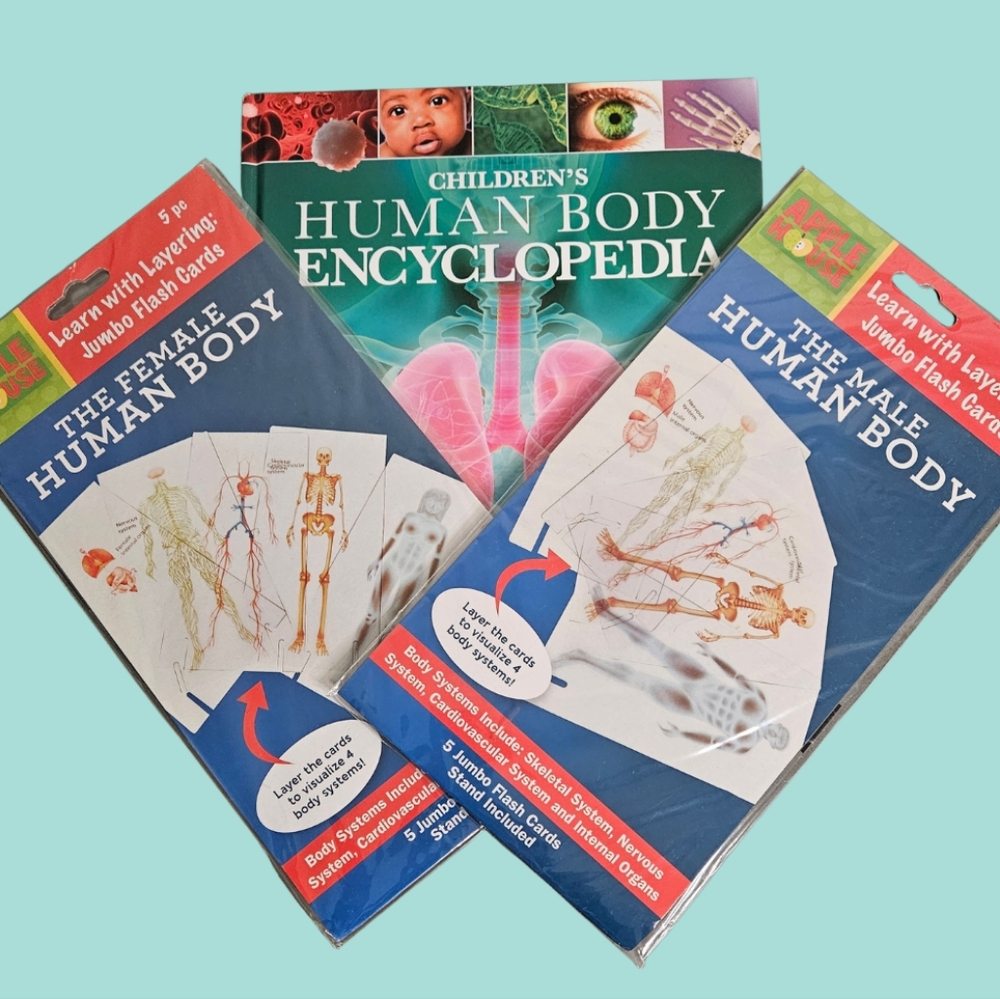 Children's Human Body Encyclopedia and Flash Cards Set